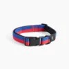 Hay Dog Collar Flat Blue/Red