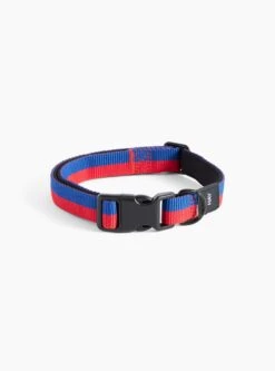 Hay Dog Collar Flat Blue/Red