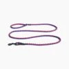 Hay Braided Leash Blue/Red