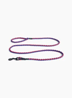 Hay Braided Leash Blue/Red