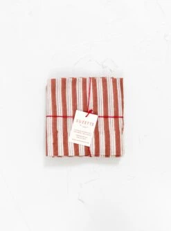 Salem Argile Napkins Set Of 4