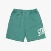 Stüssy Stussy Intl Short Teal