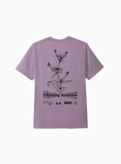 Antenna T-shirt Washed Berry
