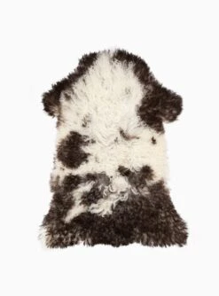 Austrian Curly Sheepskin Rug Multi